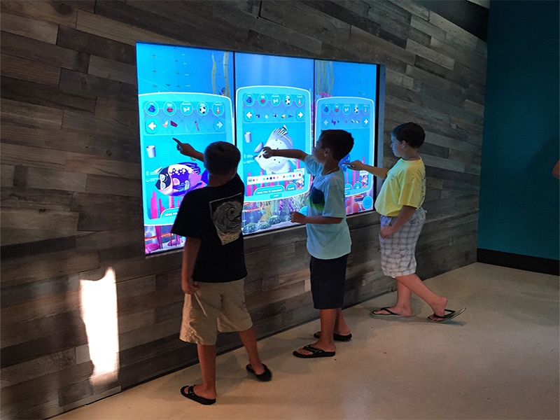T1V Cowfish Orlando Universal interactive touchscreen Wall Game